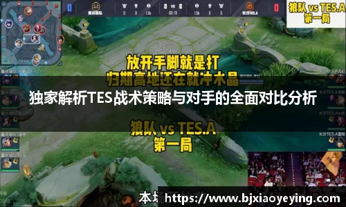 独家解析TES战术策略与对手的全面对比分析