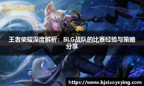 美嘉体育官网