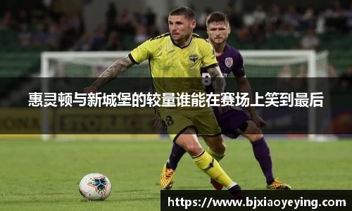 美嘉体育官网