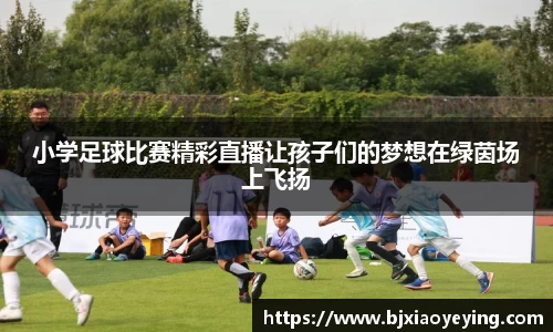 小学足球比赛精彩直播让孩子们的梦想在绿茵场上飞扬