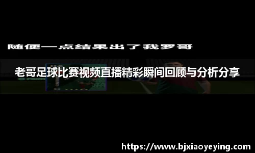 美嘉体育官网
