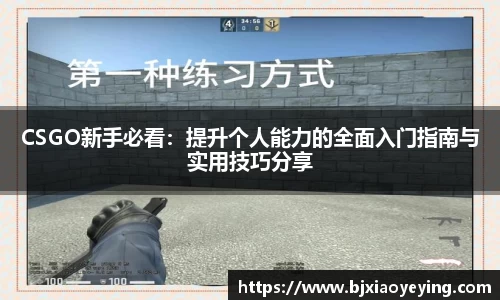 美嘉体育平台