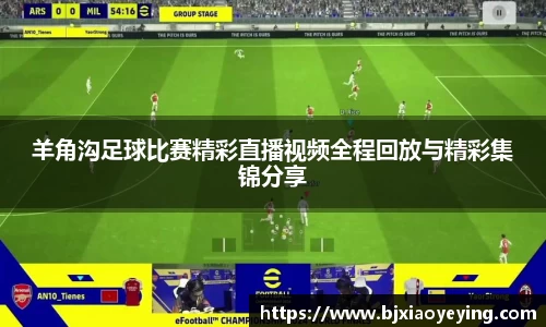 美嘉体育平台