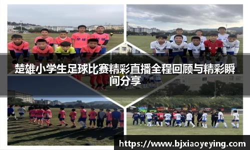 楚雄小学生足球比赛精彩直播全程回顾与精彩瞬间分享