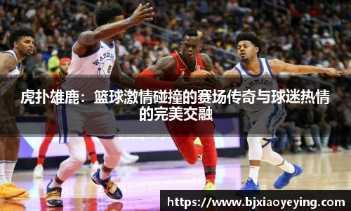 虎扑雄鹿：篮球激情碰撞的赛场传奇与球迷热情的完美交融