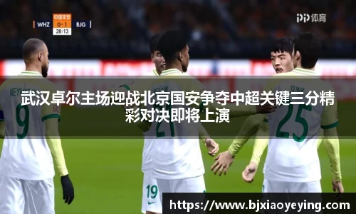 美嘉体育下载