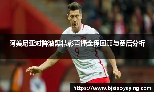 阿美尼亚对阵波黑精彩直播全程回顾与赛后分析