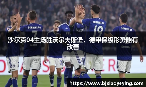 沙尔克04主场胜沃尔夫斯堡，德甲保级形势略有改善